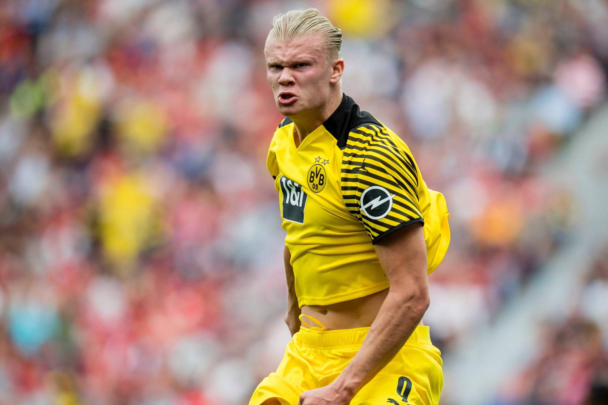 意媒：国米本周派球探现场考察了焦瓦内和穆哈雷莫维奇（意媒称国米本周派球探到场考察焦瓦内与穆哈雷莫维奇）